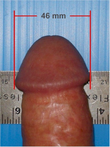Penis Size Examples 64