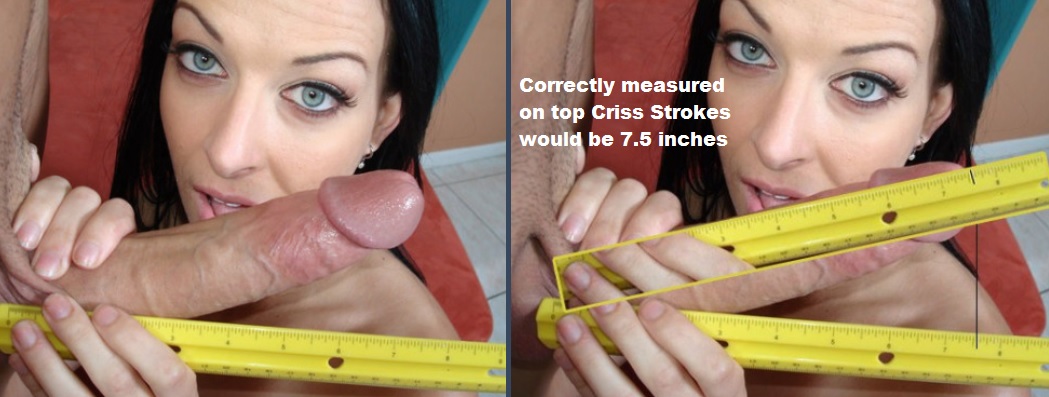 How big are the biggest cocks in porn? Porn Star Penis Measurements